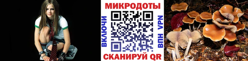 Псилоцибиновые грибы Psilocybe  продажа наркотиков  KRAKEN зеркало  Богучар 